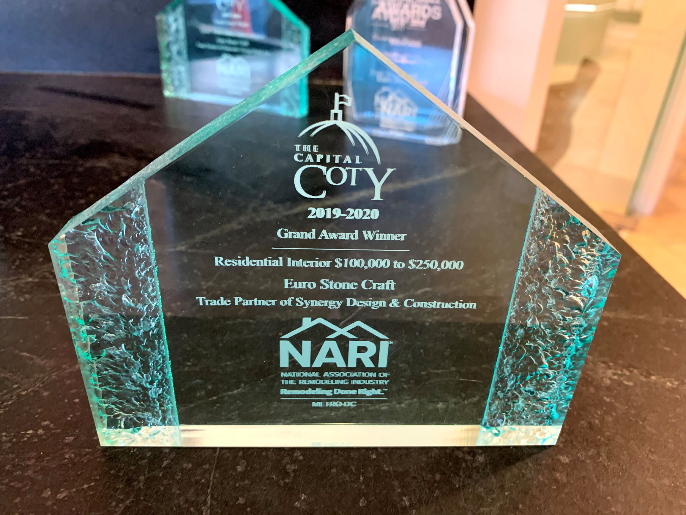 ESC Coty Award 2019-2020 Residential Interrior Synergy